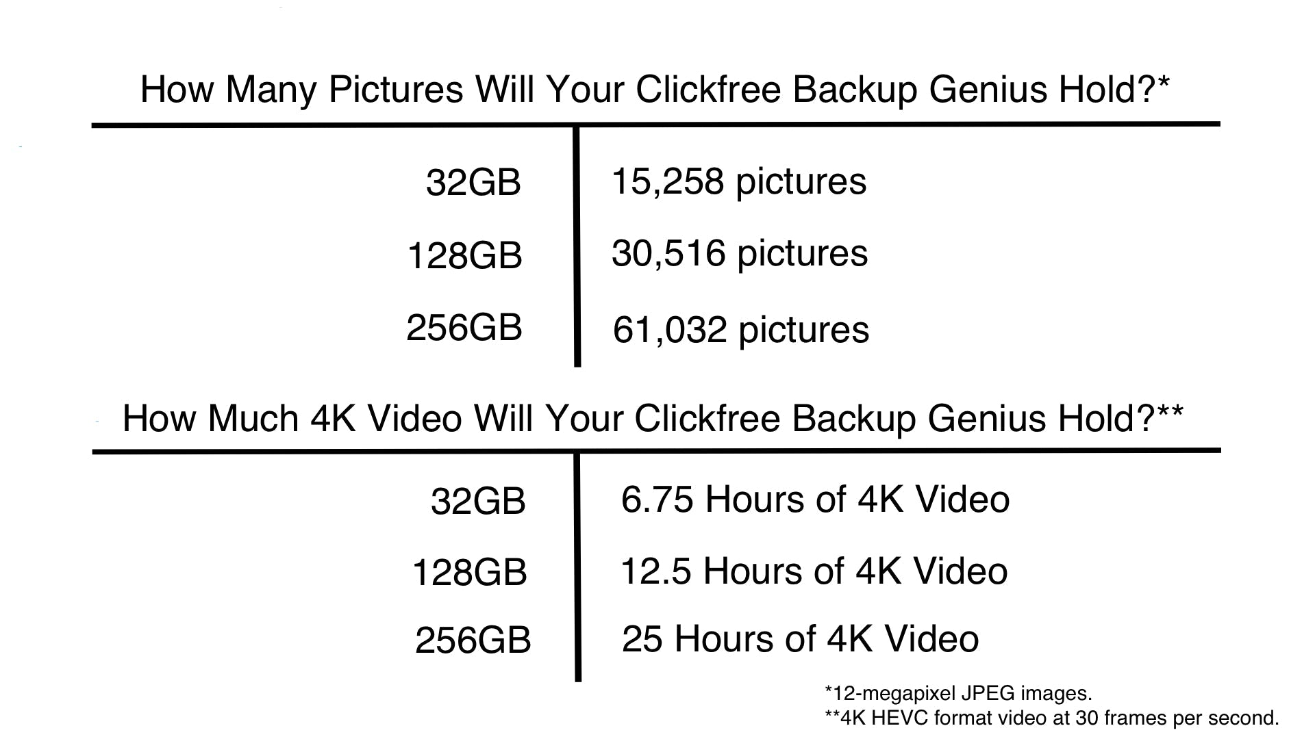 Backup Genius - 256GB Photo Backup and Storage Expansion - Clickfree